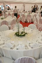 Decoration for the wedding table (503)