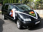Decoration for the wedding car (686)