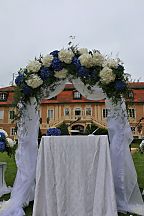 Wedding arch (376)