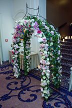 Wedding arch (677)