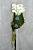 Wedding bouquet 212