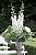 Garden wedding 227