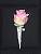 Corsage for the groom 333