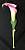 Corsage for the groom (638)