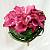 Wedding bouquet (509)