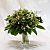 Wedding bouquet (116)