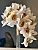 Wedding bouquet (800)