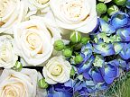 Decoration for the wedding car