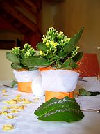 Decoration for the restaurant (197)