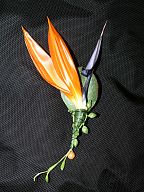 Corsage for the groom (654)