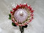 Wedding bouquet