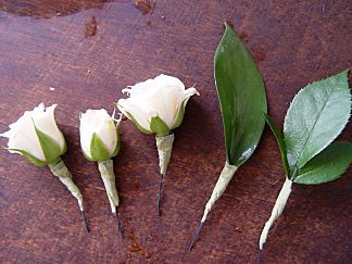 Blossoms for the hair