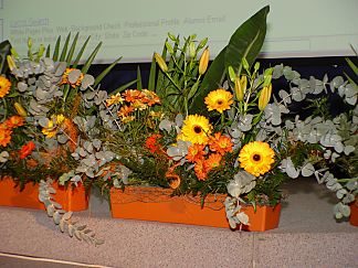 Decoration for the podium