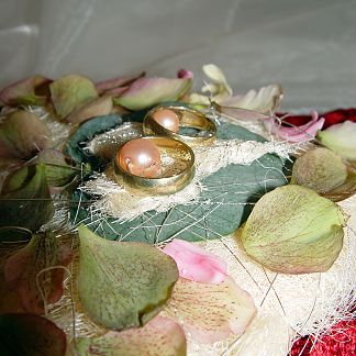Cushion for the wedding rings