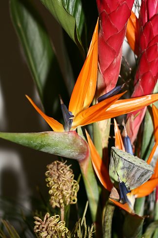 Floral decoration for company events