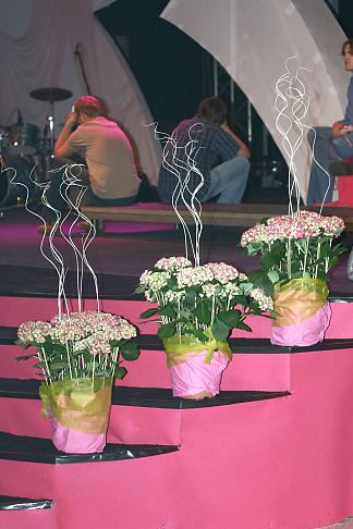 Floral arrangement