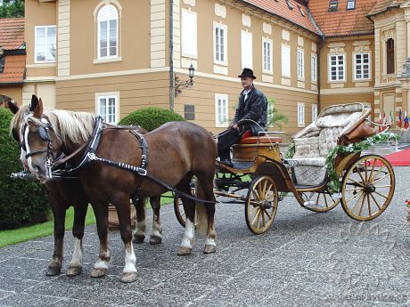 Floral decoration for the carriage