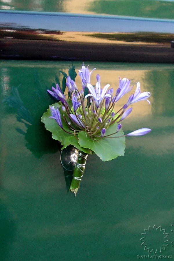 Decoration for the wedding car