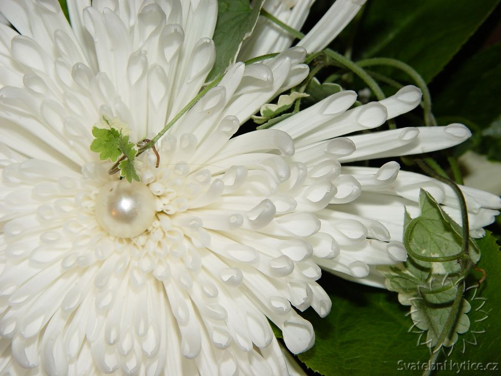 Wedding bouquet