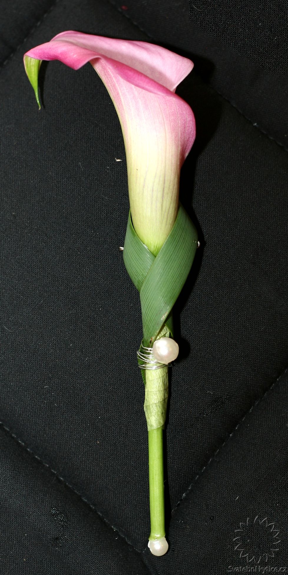 Corsage for the groom