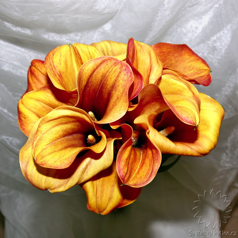 Wedding bouquet